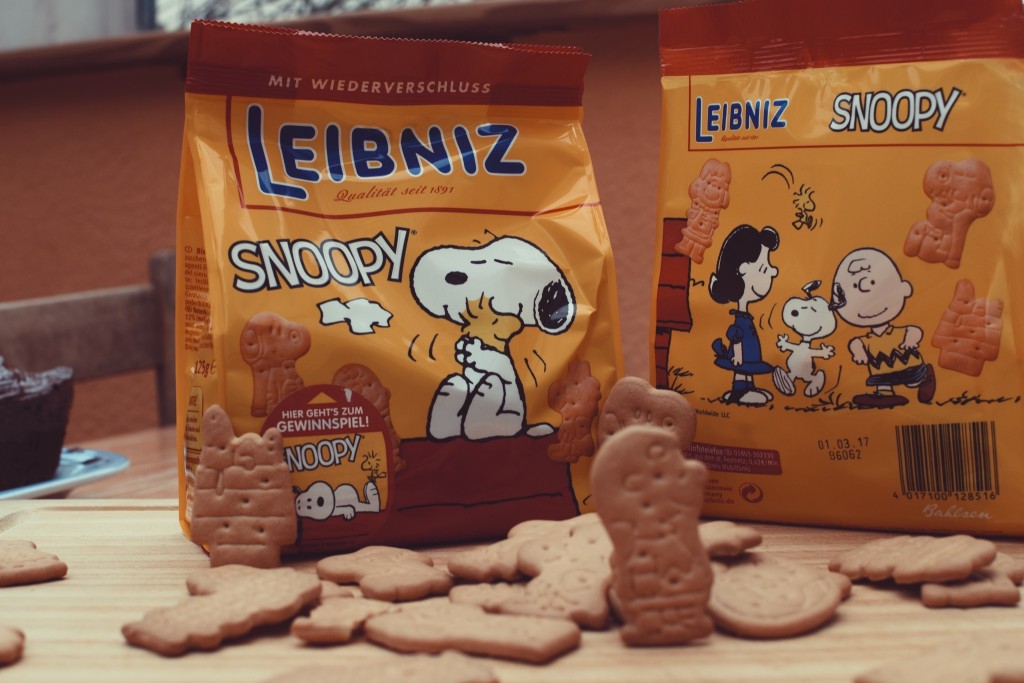 Snoopy Leibniz_0673